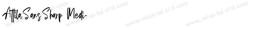 AttilaSansSharp Medi字体转换